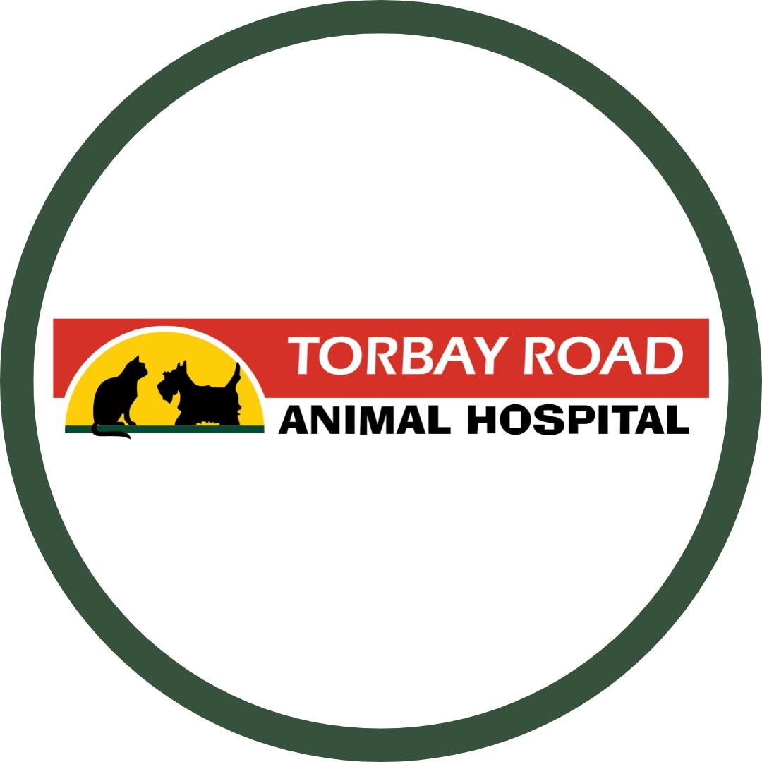 Torbay Road Animal Hospital