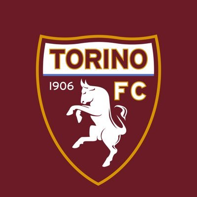 TORINO FC S.p.a