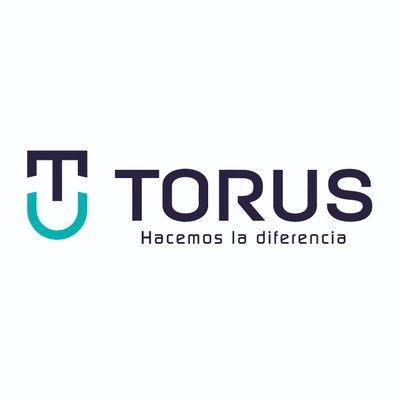 Torus Systems