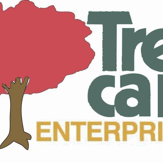 Tree Care Enterprises