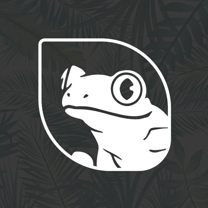 Treefrog Marketing