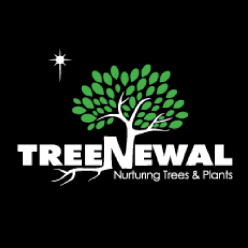 TreeNewal