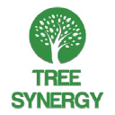 Tree Synergy Pty Ltd Tree Synergy Pty Ltd