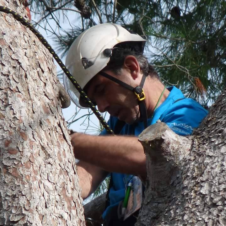 Treeworker