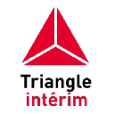 Triangle Interim Solutions