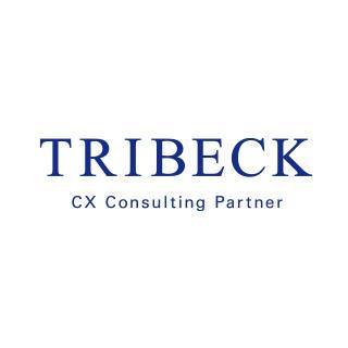 Tribeck Strategies Inc.