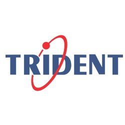 Trident Information System Pvt Ltd.