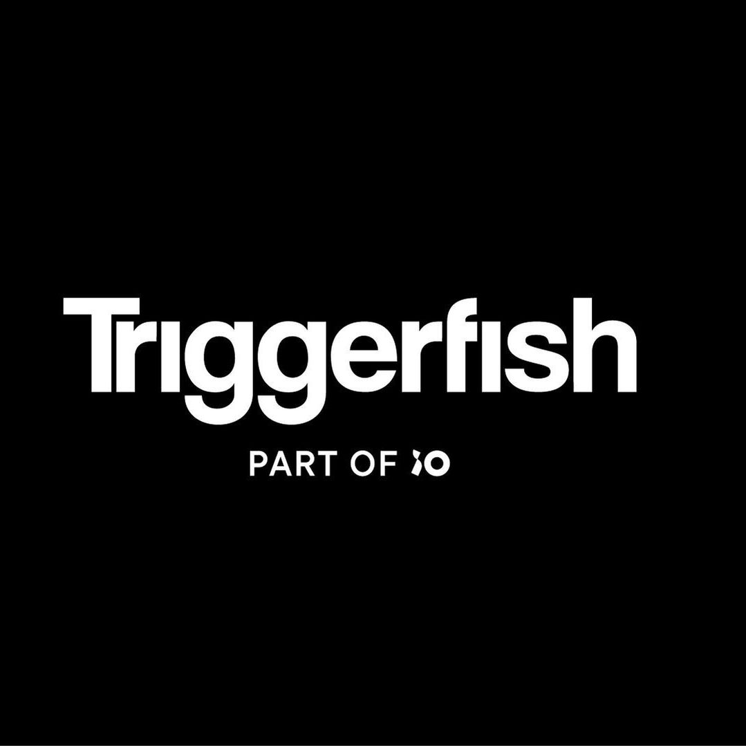 Triggerfish