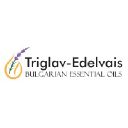 Triglav-Edelvais