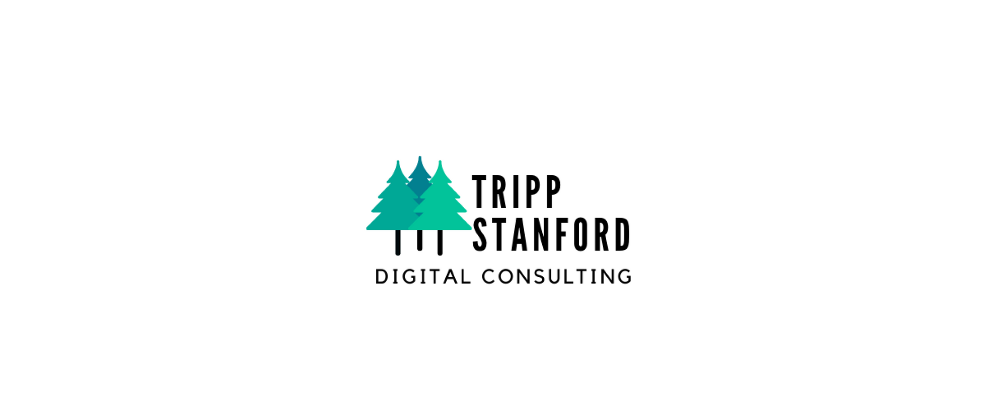 Tripp Stanford Digital Consulting