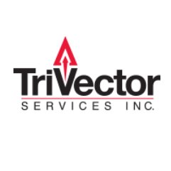 TriVector Services