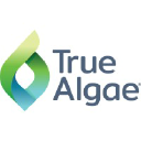 TrueAlgae