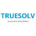 True Sales Soft   Salesforce Consulting