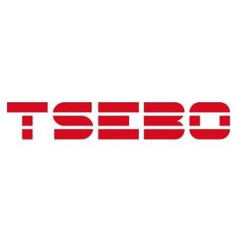 Tsebo Holdings