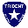 Trident Security Services