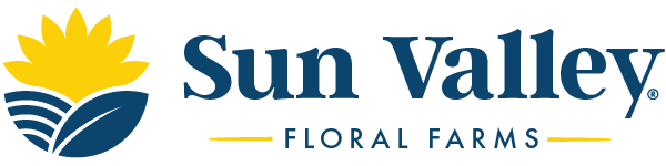 Sun Valley Group
