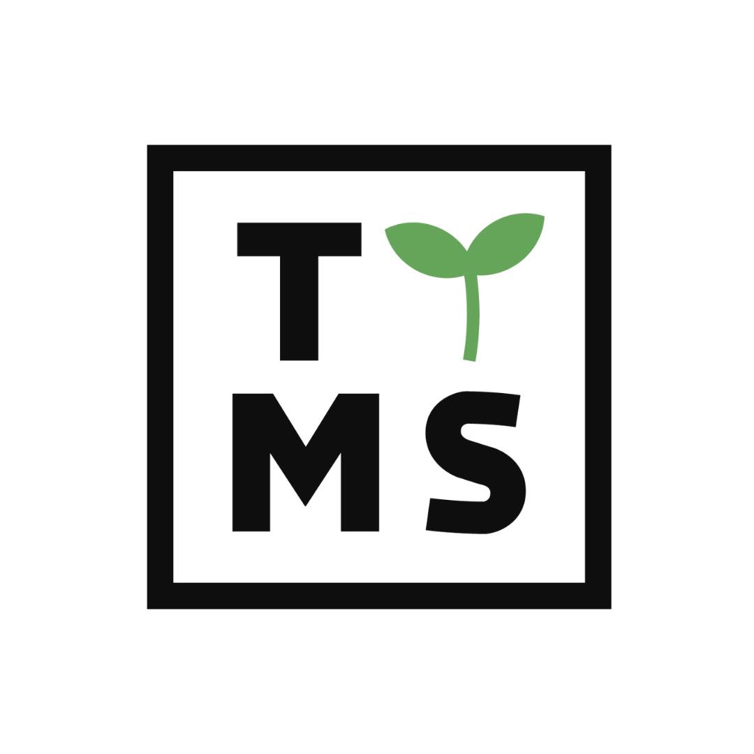 Transition Technologies MS