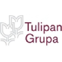 Tulipan grupa