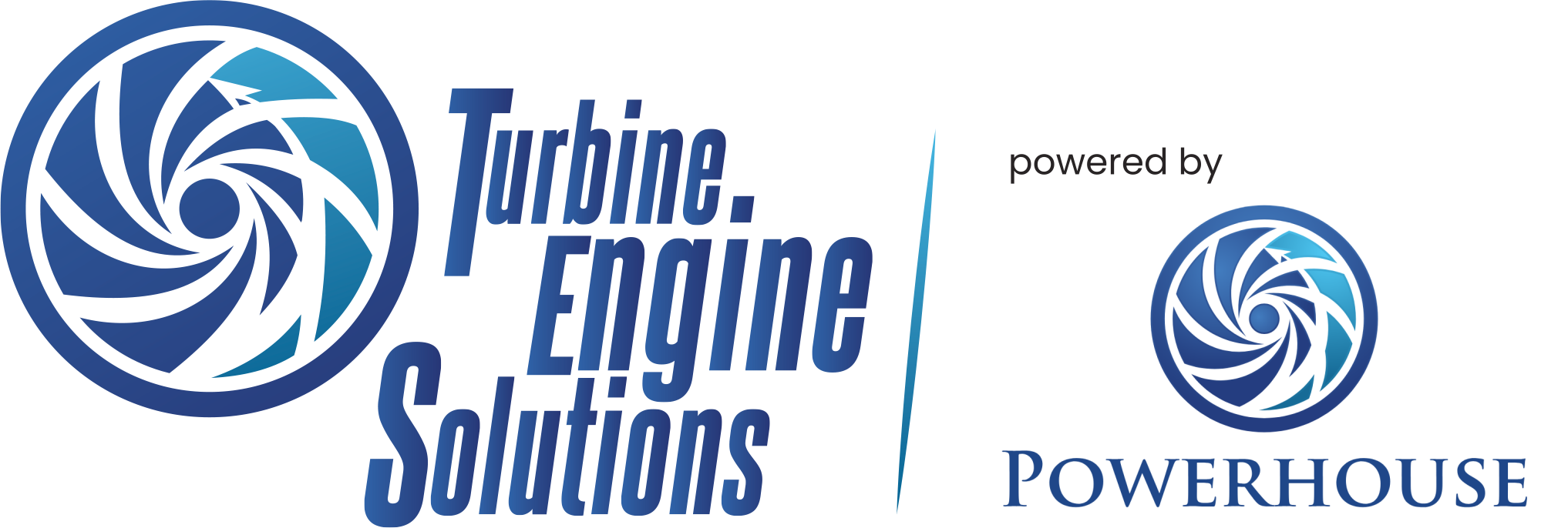 TURBINE ENGINE SOLUTIONS INC