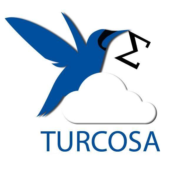 Turcosa Analytics