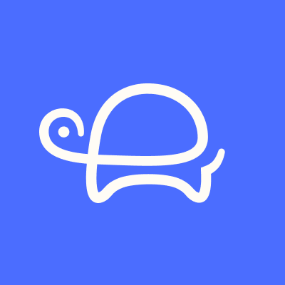 Turtle Design