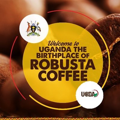 Uganda Coffee Development Authority