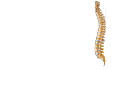 University Spine Center