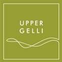 Upper Gelli Lodge