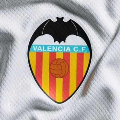 Valencia CF Academy