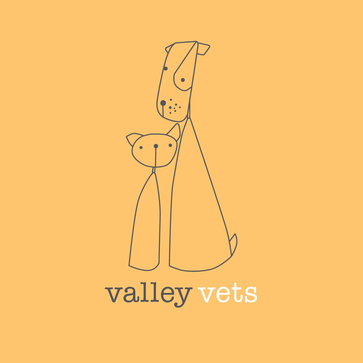 Valley Vets