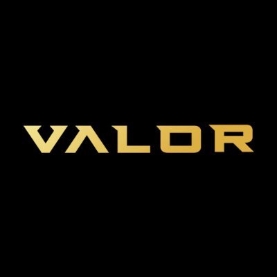 Valor Bare Knuckle, Inc.