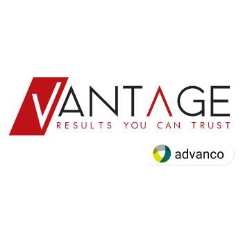 Vantage Consulting Group