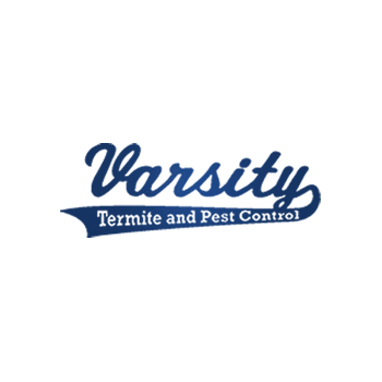 Varsity Termite