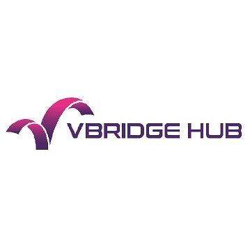 Vbridge Hub