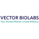 Vector Biolabs