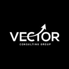 Vector Consulting Group