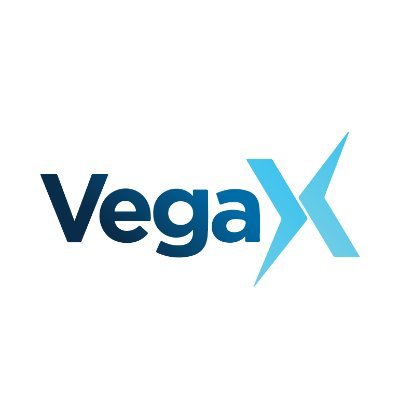 Vegax Holdings: The Future Of Digital Asset Management