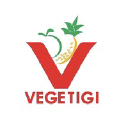 Vegetigi