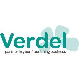 Verdel