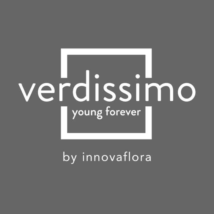 Verdissimo