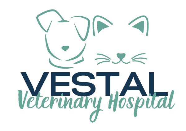 Vestal Veterinary Hospital