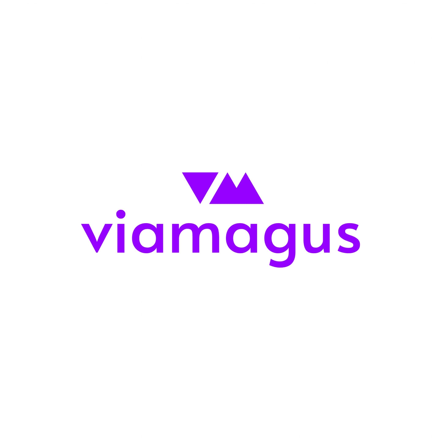 Viamagus Technologies Pvt.Ltd