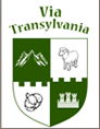 Via Transylvania Tours