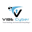 Vibe Cybersecurity International Llc