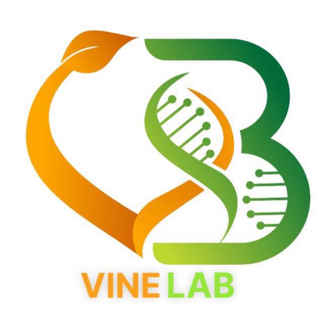 VINELAB