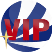 VIP Technology Solutions Group