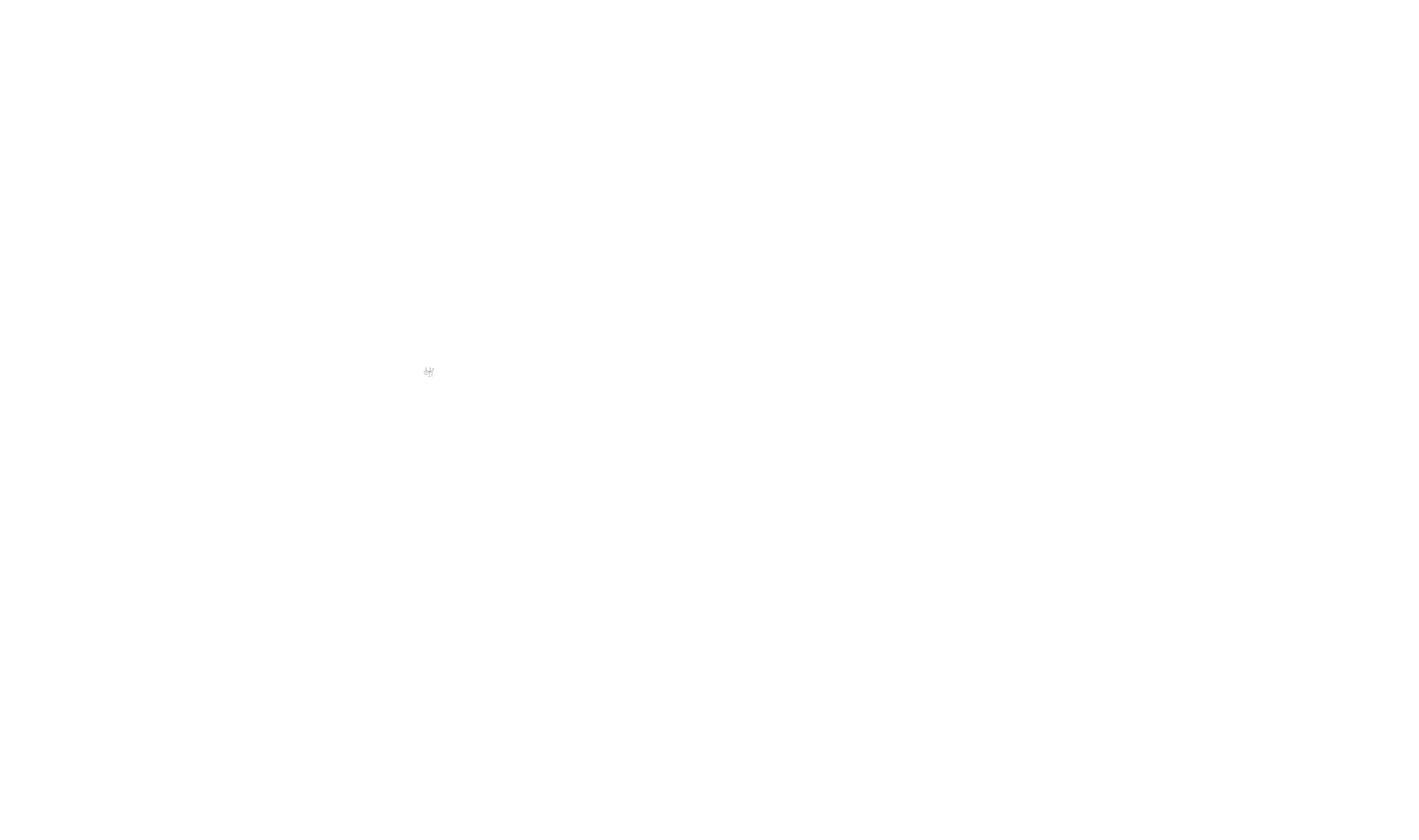 Virobel Wealth Management