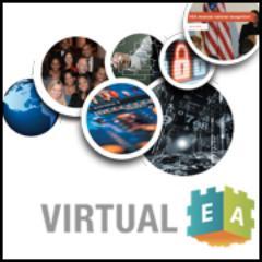 Virtual Enterprise Architects