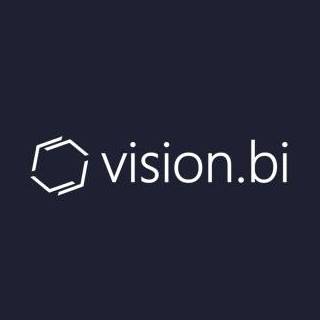 Vision.bi