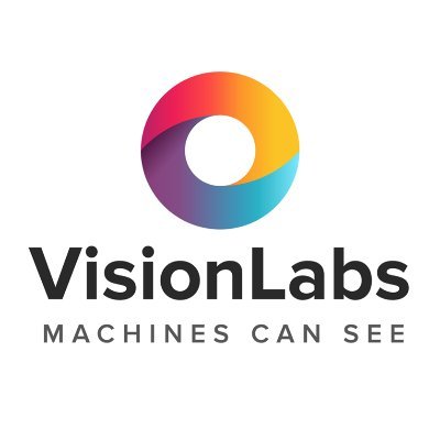 VisionLabs